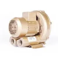 How do I fix my blower fan? How do you troubleshoot a leaf blower? How do you service a leaf blower? Can a blower motor be repaired?