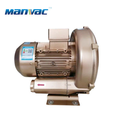 rotary positive displacement blowers