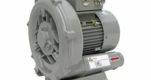 بلوئر اروپایی