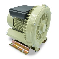 بلوئر زیمنس